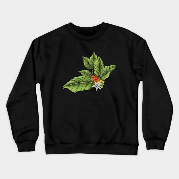 Coffee Bean Tree Crewneck Sweatshirt by Firts King